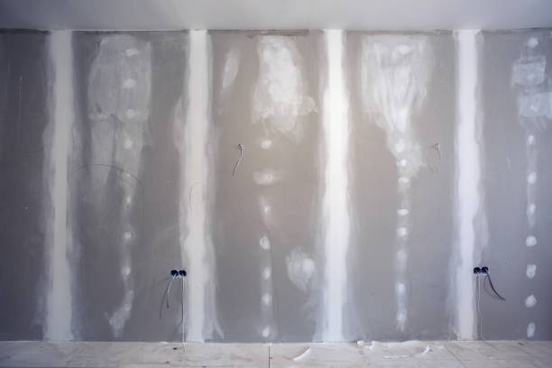 Dehumidification Services in Bell, CA